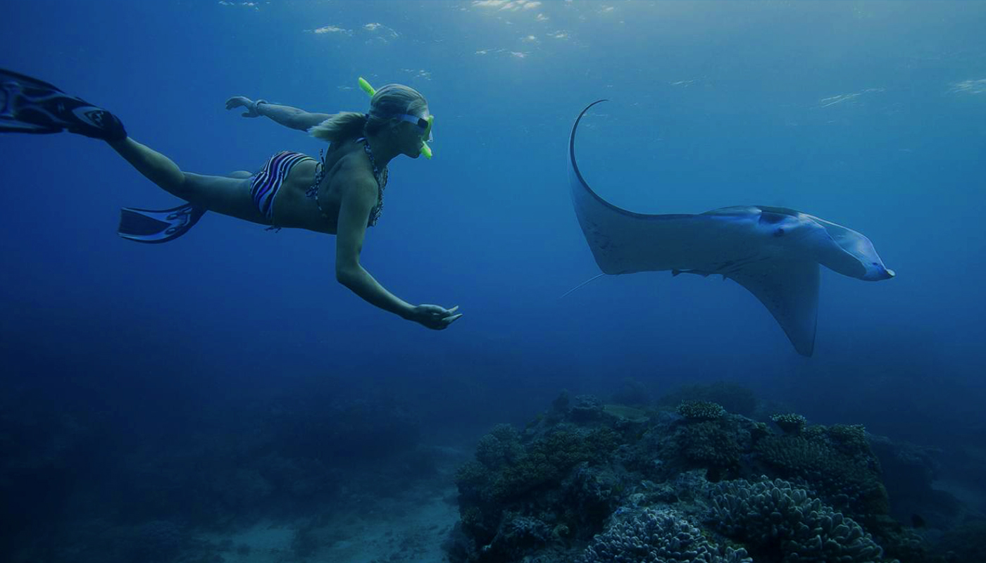 Snorkeling With Manta Rays and Day Tour Nusa Lembongan