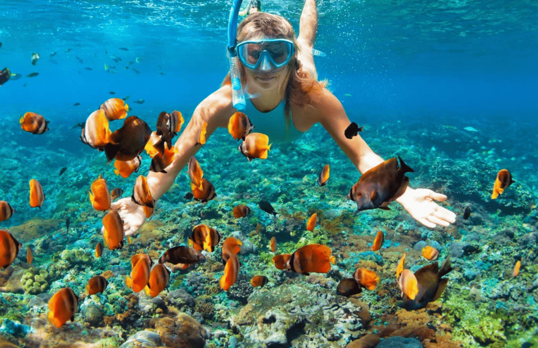 lembongan snorkeling trips review